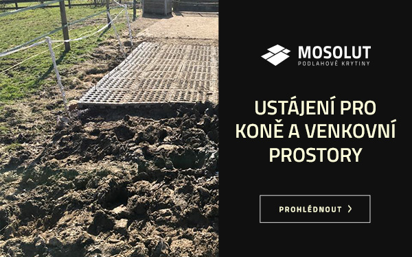 Ustájení pro koně a venkovní prostory